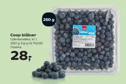 SuperBrugsen Coop blåbær (250 g) tilbud