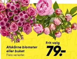 Bilka Afskårne blomster eller buket tilbud