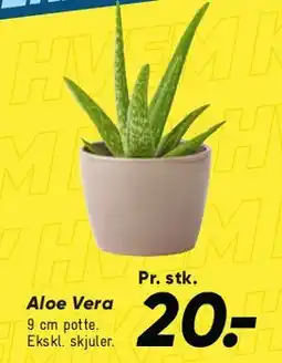 Bilka Aloe Vera tilbud