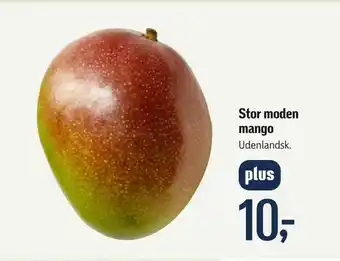 Føtex Stor moden mango tilbud