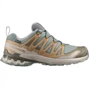 Sport 24 Salomon XA Pro 3D V9 GTX Vandresko Herre tilbud