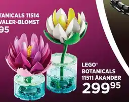 KiDS Coolshop LEGO BOTANICALS 11511 ÅKANDER tilbud
