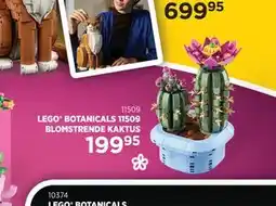 KiDS Coolshop LEGO BOTANICALS 11509 BLOMSTRENDE KAKTUS tilbud