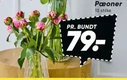 Bilka Pæoner tilbud
