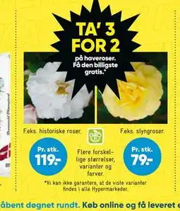 Bilka TA’ 3 FOR 2 på haveroser. Få den billigste gratis tilbud