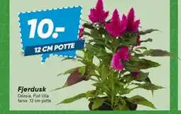 Bilka Fjerdusk tilbud