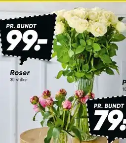 Bilka Roser tilbud
