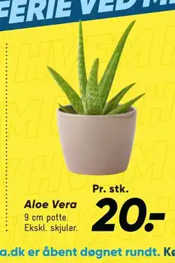Bilka Aloe Vera tilbud