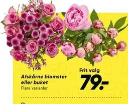Bilka Afskårne blomster eller buket tilbud