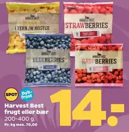 Netto Harvest Best frugt eller bær tilbud