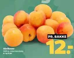 Netto Abrikoser tilbud