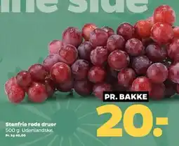 Netto Stenfrie røde druer tilbud