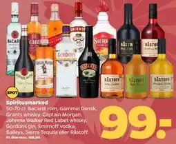 Netto Spiritusmarked tilbud
