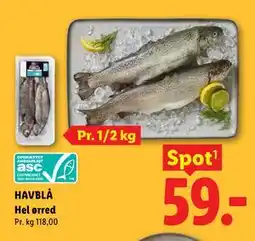 Lidl HAVBLÅ Hel ørred tilbud