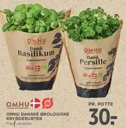 MENY Danske økologiske krydderurter tilbud