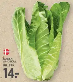 MENY Dansk spidskål tilbud