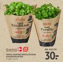 MENY OMHU DANSKE ØKOLOGISKE KRYDDERURTER tilbud