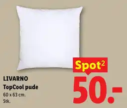 Lidl LIVARNO TopCool pude tilbud