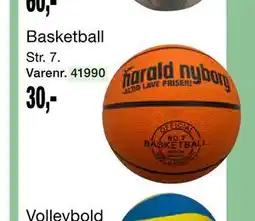Harald Nyborg Basketball tilbud