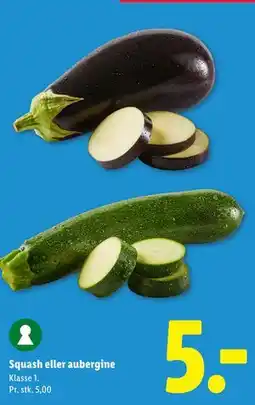Lidl Squash eller aubergine tilbud