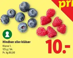Lidl Hindbær eller blåbær tilbud