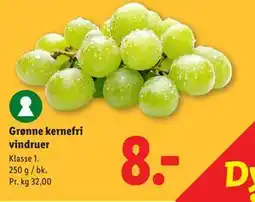 Lidl Grønne kernefri vindruer tilbud