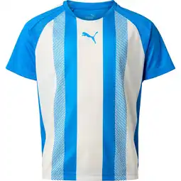 Sport 24 PUMA teamLIGA Striped Trænings T-shirt Børn tilbud