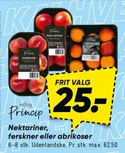 Bilka Nektariner tilbud