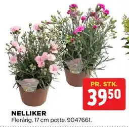 jem & fix Nelliker tilbud