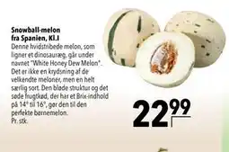 Citti Snowball-melon fra Spanien, Kl.I tilbud