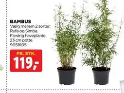 jem & fix BAMBUS tilbud