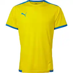 Sport 24 PUMA teamLIGA Trænings T-shirt Herre tilbud