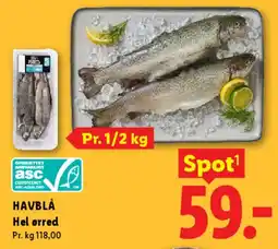 Lidl Hel ørred tilbud