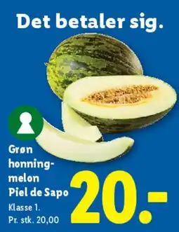 Lidl Grøn honningmelon (Piel de Sapo) tilbud