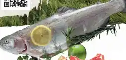Citti Frische Lachsforelle tilbud
