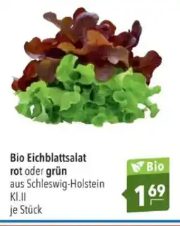Citti Bio Eichblattsalat rot oder grün tilbud