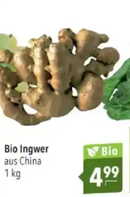 Citti Bio Ingwer aus China tilbud