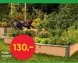 BigDollar Palle- ramme tilbud