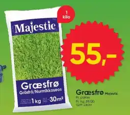 BigDollar Græsfrø Majestic tilbud