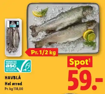 Lidl Hel ørred tilbud
