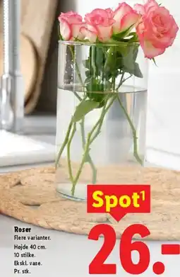 Lidl Roser tilbud