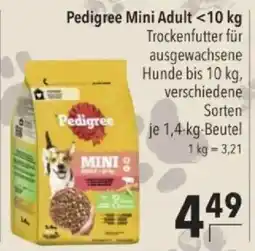Citti Pedigree Mini Adult tilbud