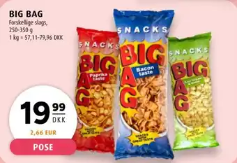 Scandinavian Park Big bag tilbud