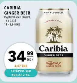 Scandinavian Park Caribia ginger beer tilbud