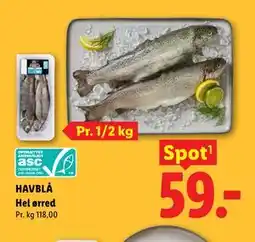 Lidl HAVBLÅ Hel ørred tilbud