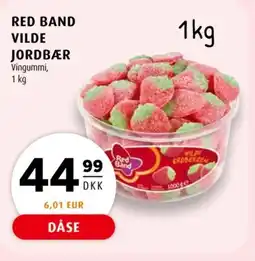 Scandinavian Park Red Band vilde jordbær tilbud