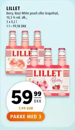 Scandinavian Park LILLET tilbud