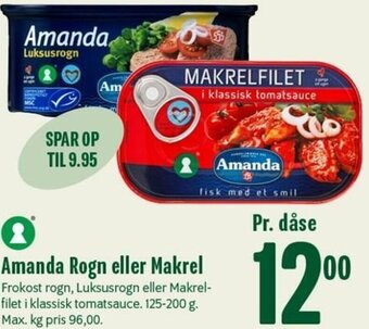 Amanda Rogn Eller Makrel