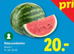 Lidl Babyvandmelon tilbud