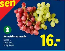 Lidl Kernefri vindruemix tilbud